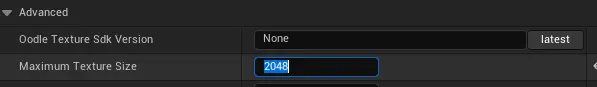 This shows Maximum Texture size set to 2048